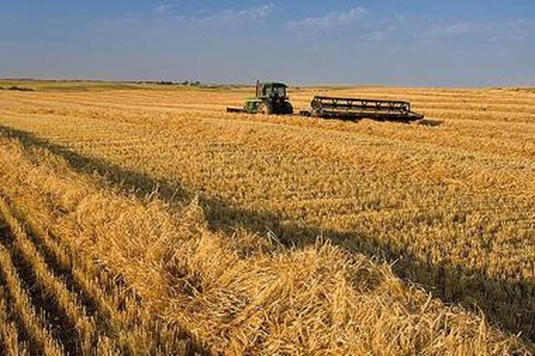 Vyriausybė skyrė iki 294 mln. litų papildomoms žemdirbių išmokoms