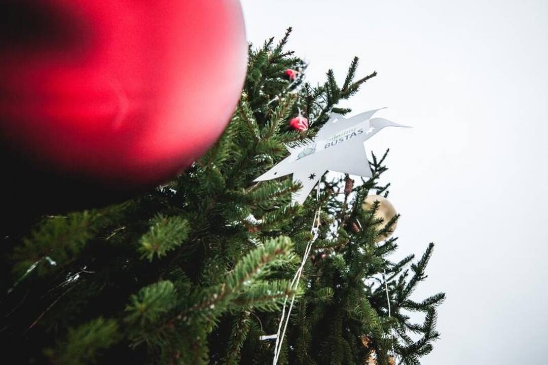 Kalėdų dvasia apsigyveno ir Šilainiuose 