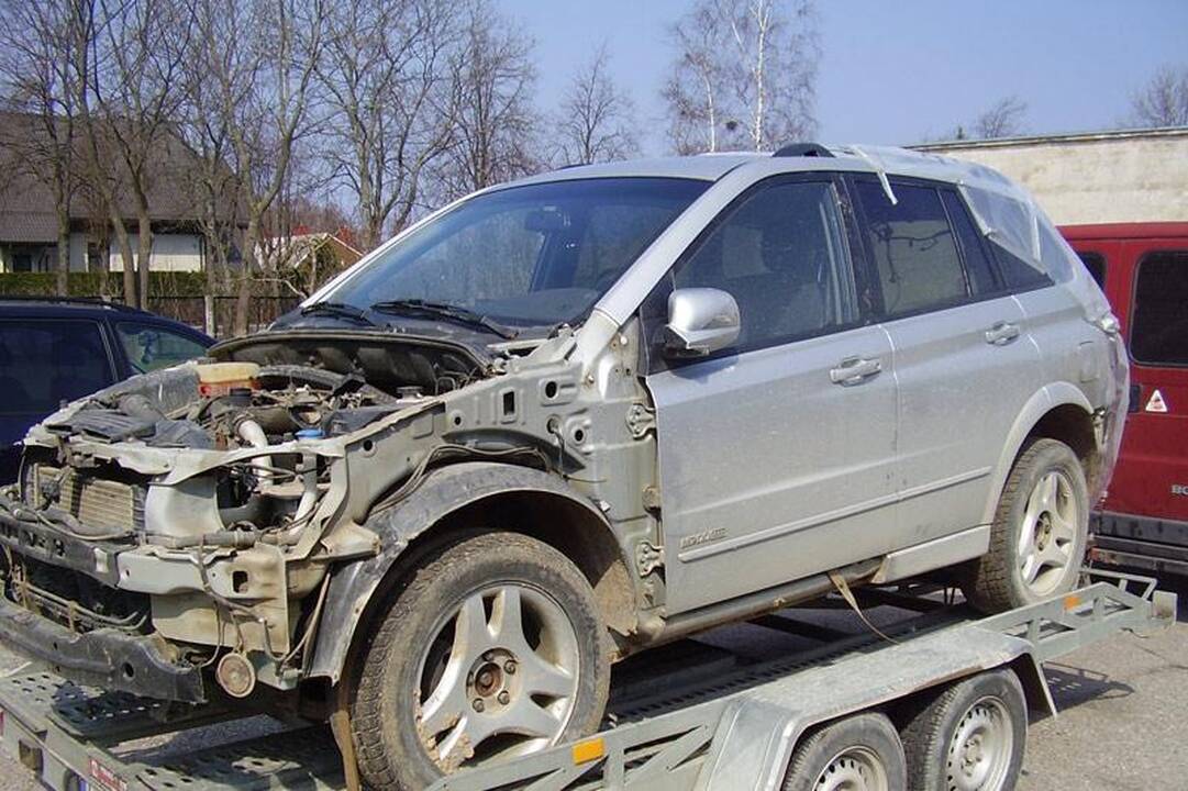 LNK laidų vedėjai iš gėlių pasodino simbolinį „Gerumo sparną“ 