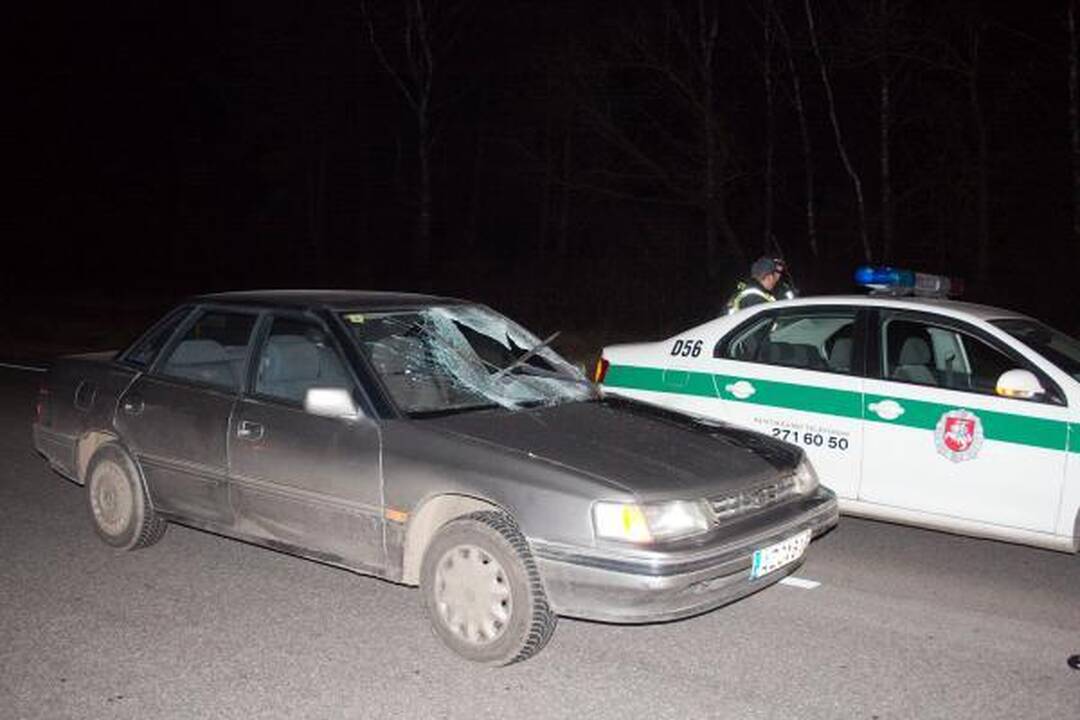Automobilis partrenkė kelio viduriu ėjusį vyrą