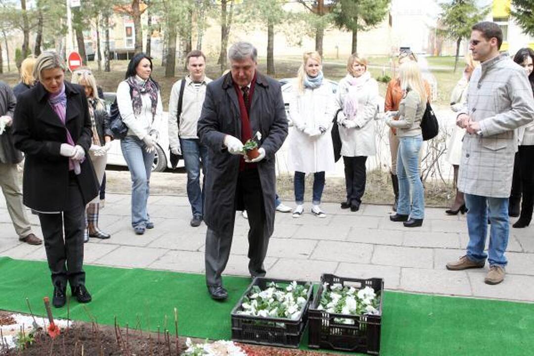 LNK laidų vedėjai iš gėlių pasodino simbolinį „Gerumo sparną“ 