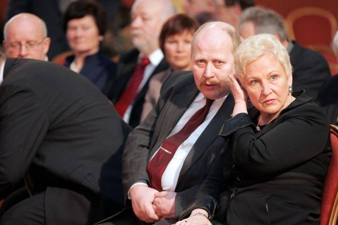 Pirmoji Vilniaus taryba gailisi tik nepastatyto stadiono
