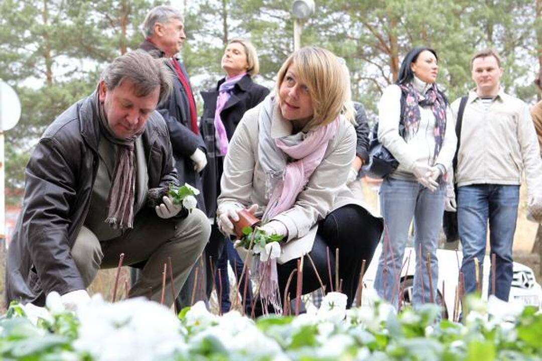 LNK laidų vedėjai iš gėlių pasodino simbolinį „Gerumo sparną“ 