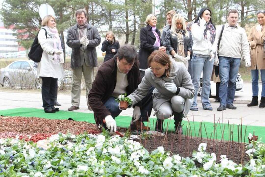 LNK laidų vedėjai iš gėlių pasodino simbolinį „Gerumo sparną“ 