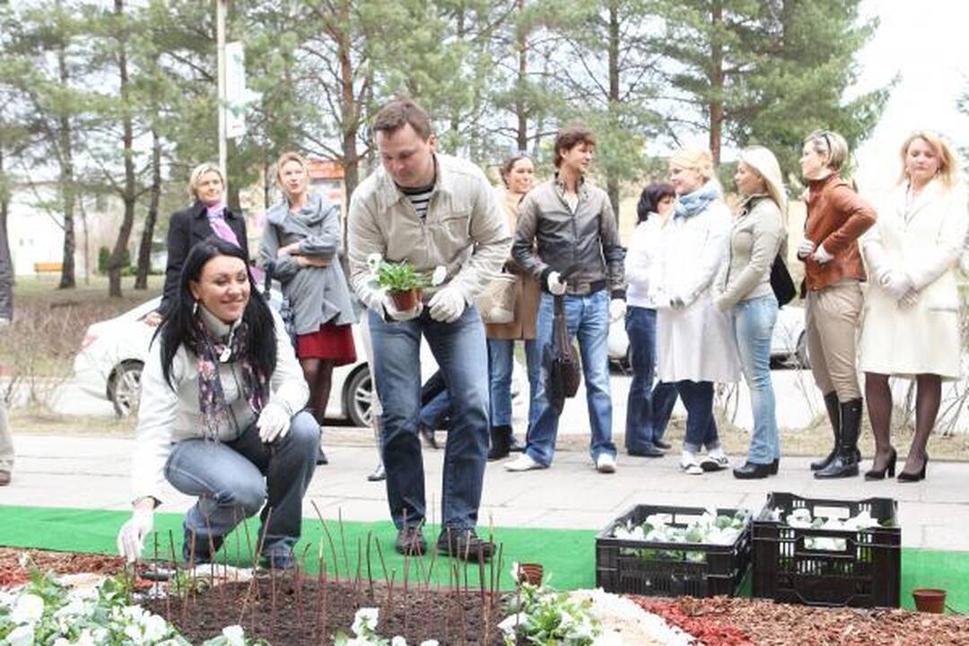 LNK laidų vedėjai iš gėlių pasodino simbolinį „Gerumo sparną“ 
