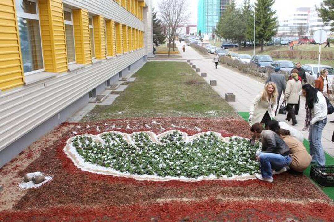 LNK laidų vedėjai iš gėlių pasodino simbolinį „Gerumo sparną“ 