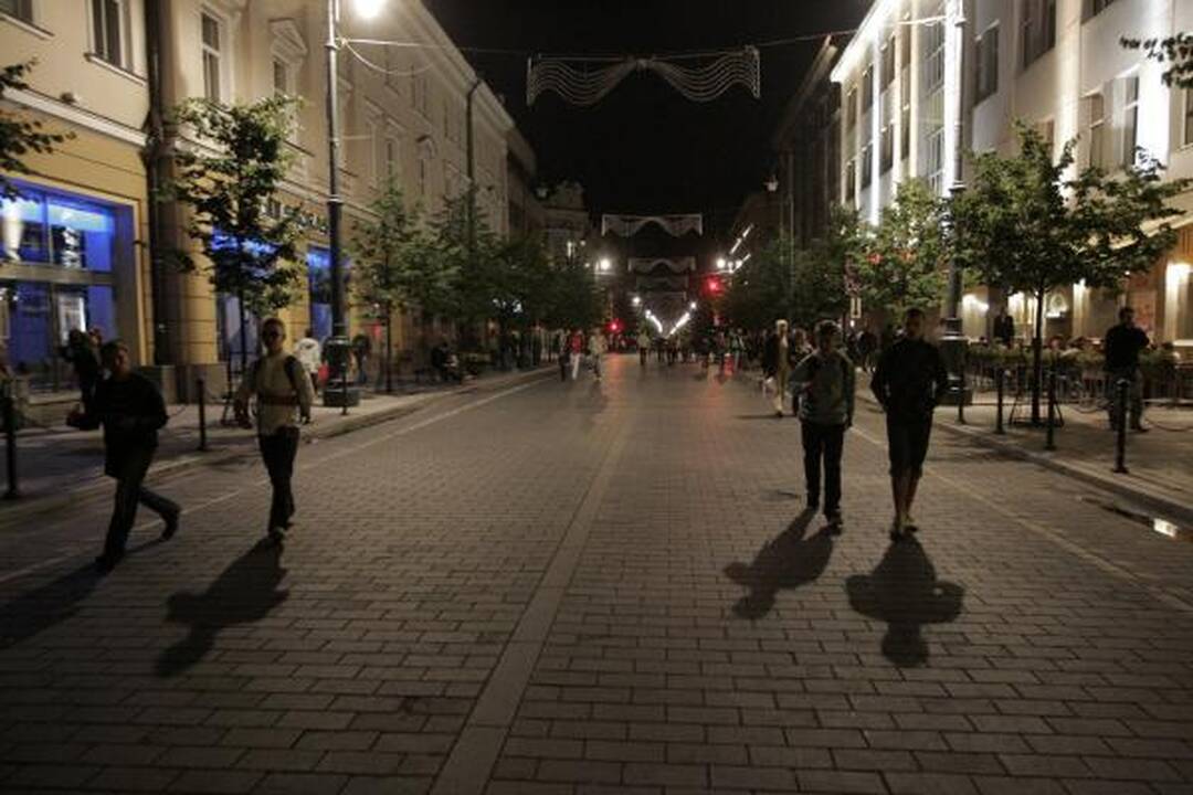 Sereikiškių parke liejosi salsos ir regetono temperamentas 