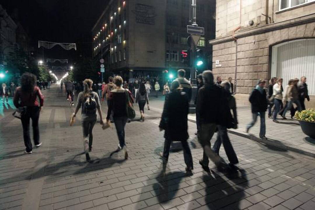 Sereikiškių parke liejosi salsos ir regetono temperamentas 