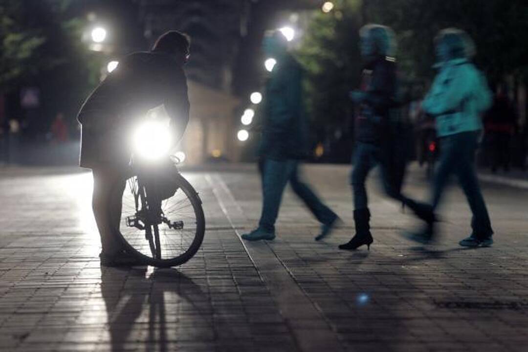 Sereikiškių parke liejosi salsos ir regetono temperamentas 