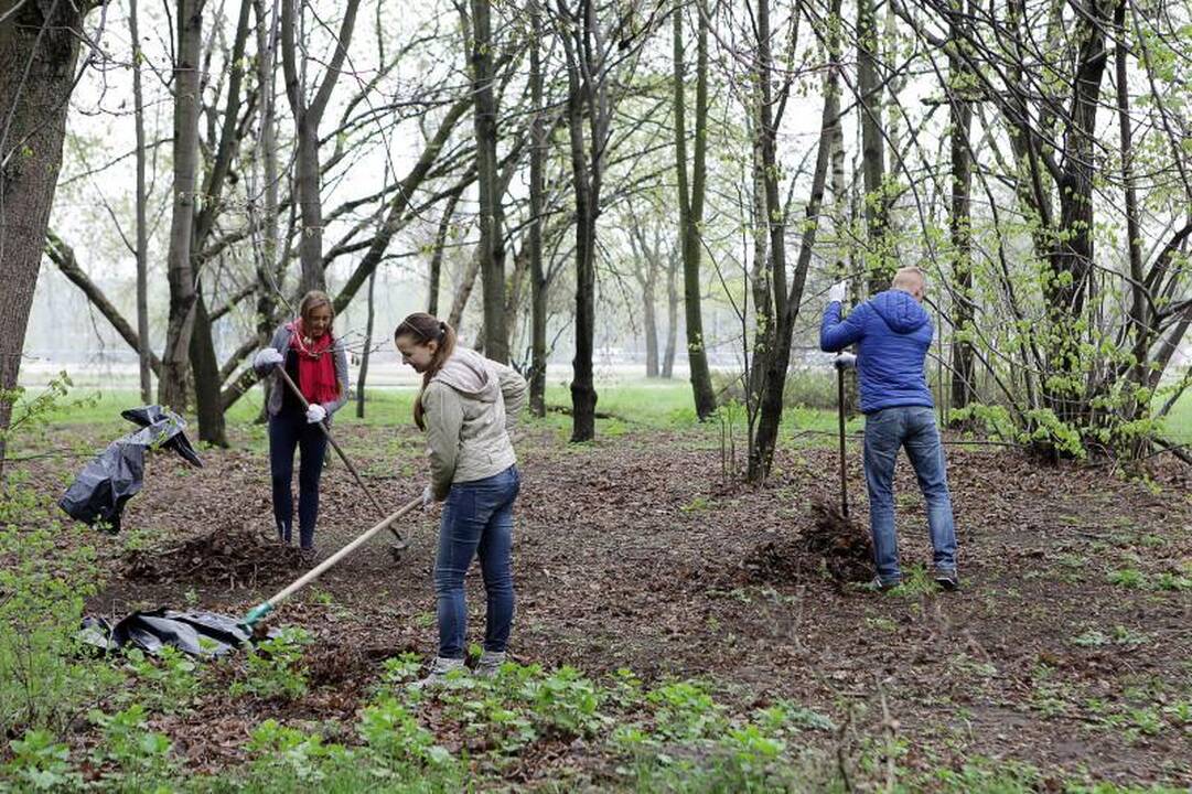 Klaipėdiečiai ėmėsi tvarkyti Jūros parką