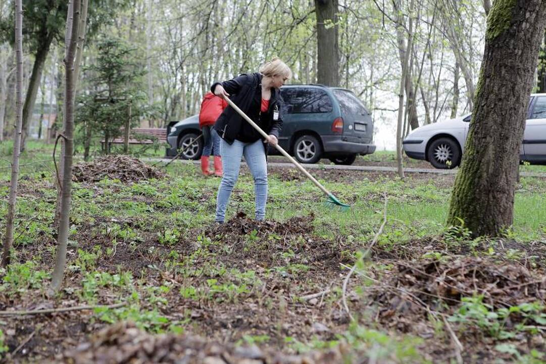 Klaipėdiečiai ėmėsi tvarkyti Jūros parką