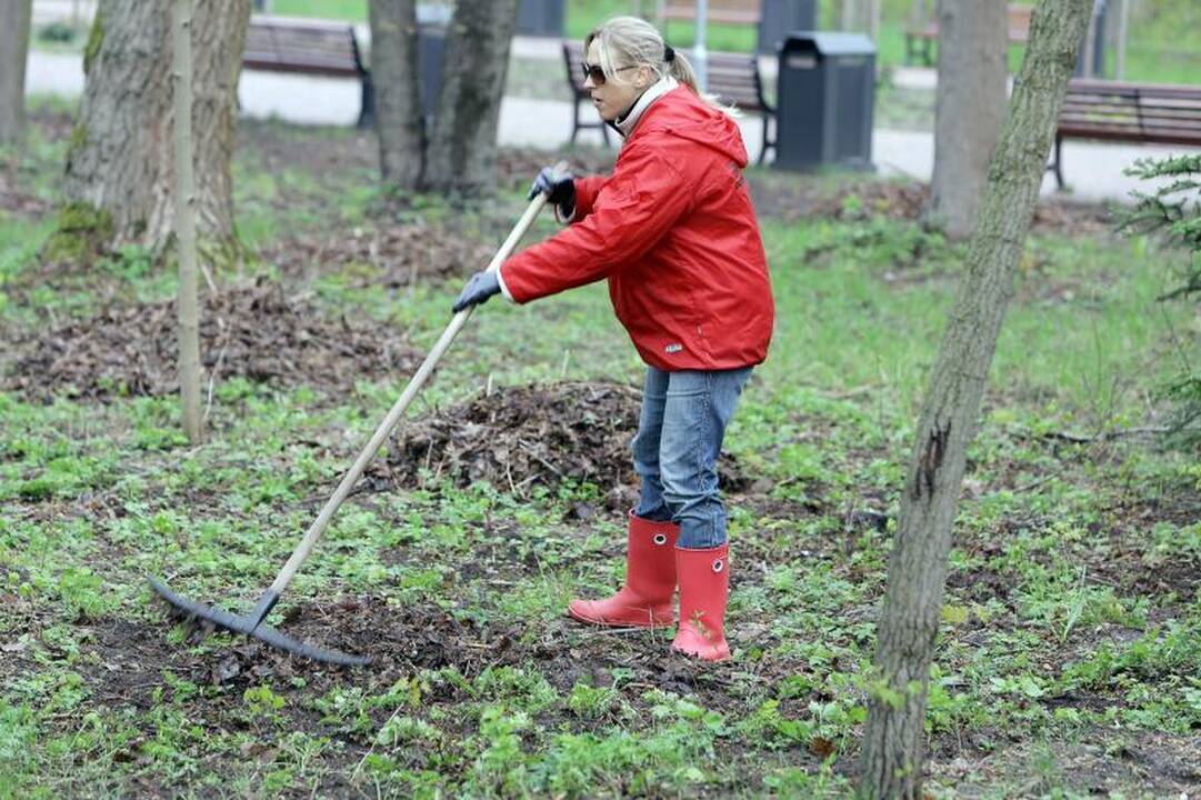 Klaipėdiečiai ėmėsi tvarkyti Jūros parką