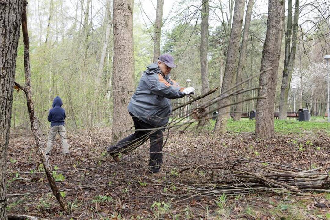 Klaipėdiečiai ėmėsi tvarkyti Jūros parką