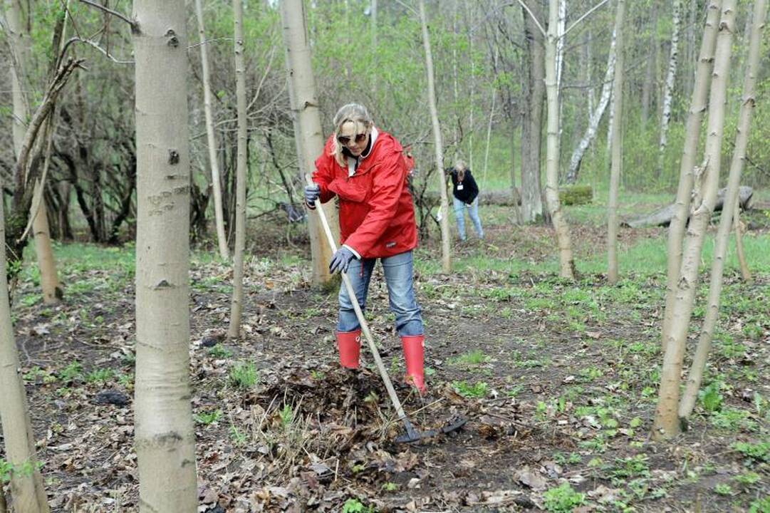 Klaipėdiečiai ėmėsi tvarkyti Jūros parką
