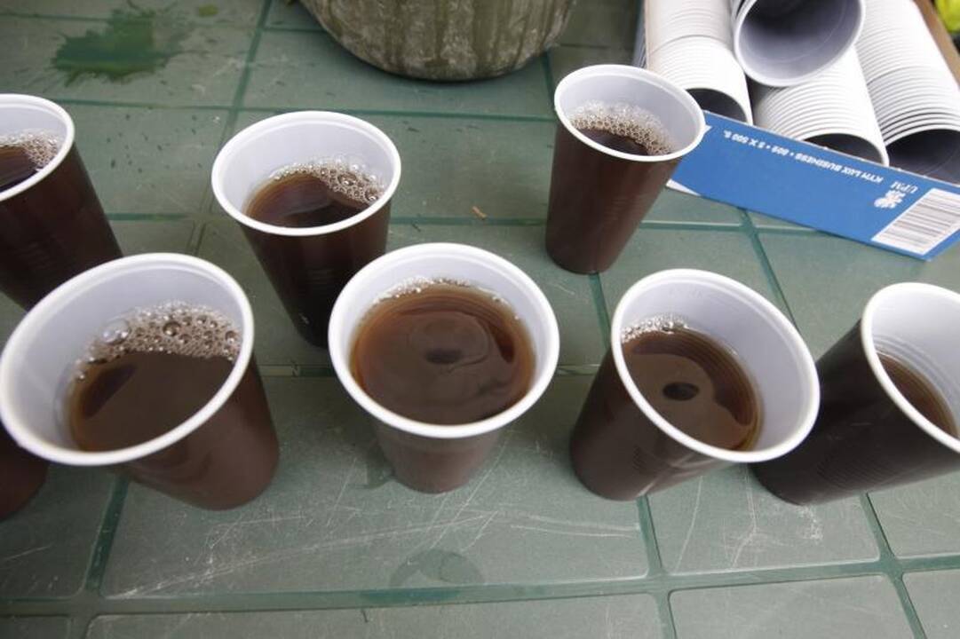 Klaipėdos Jūros parką švarino talkininkai
