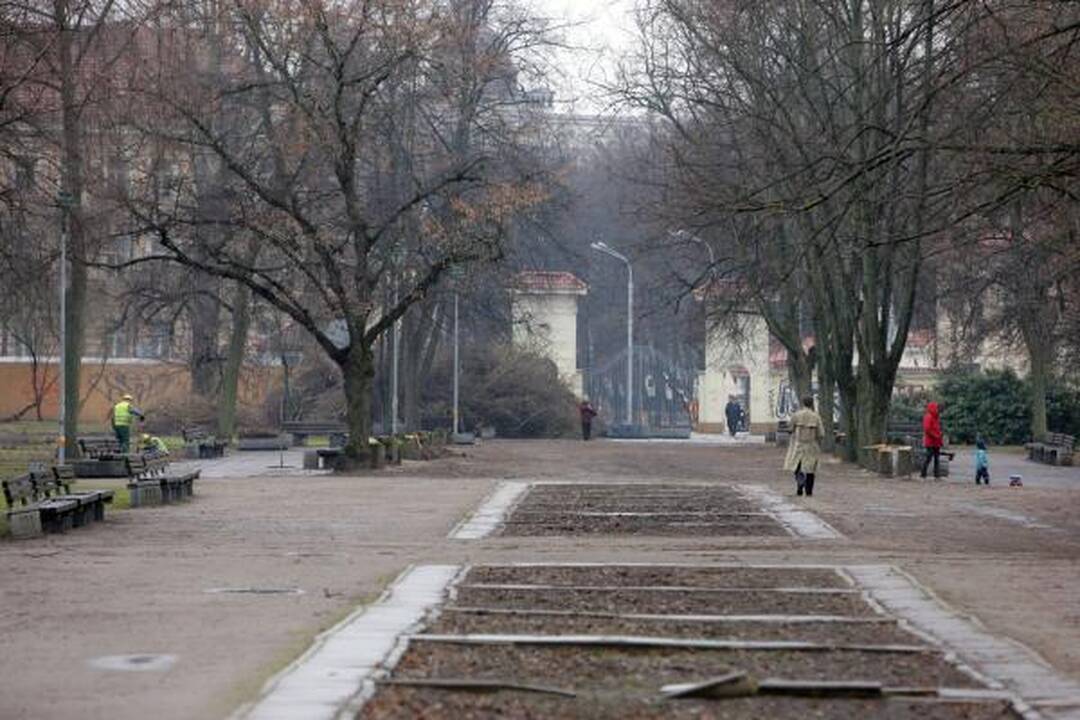 Iškirsti medžiai Sereikiškių parke papiktino vilniečius (papildyta)