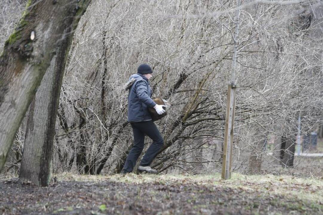 Klaipėdos Jūros parką švarino talkininkai