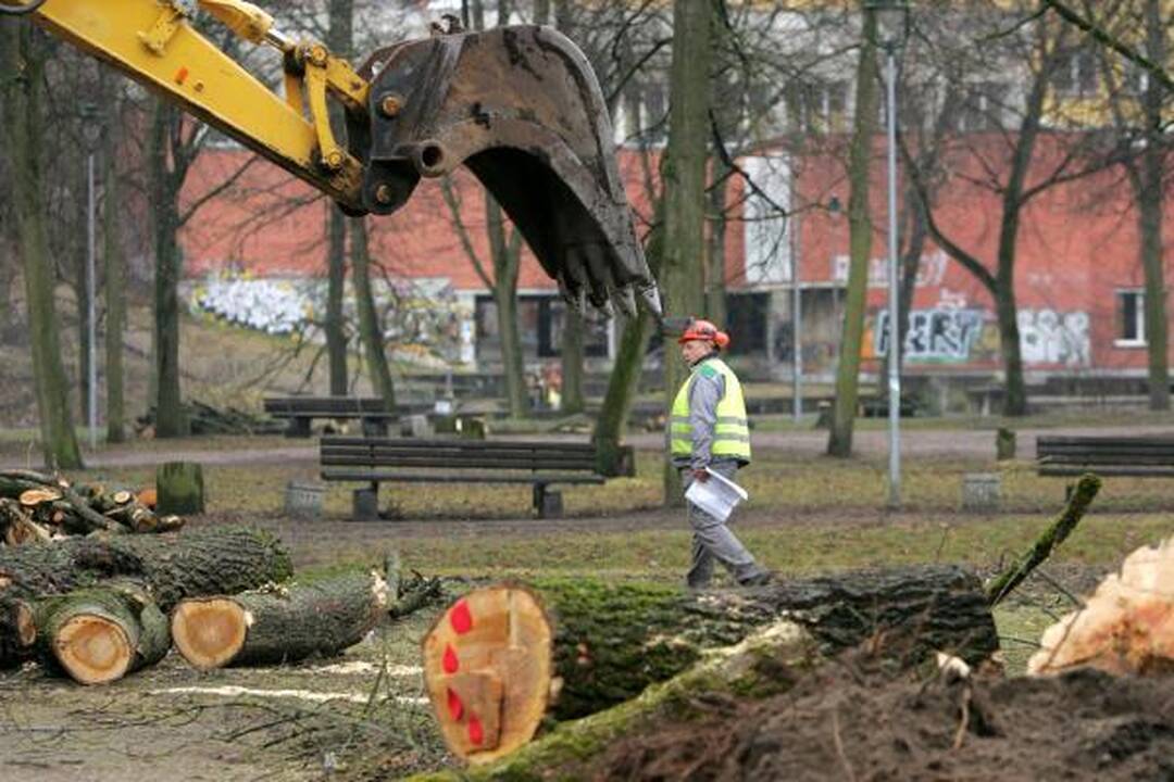 Iškirsti medžiai Sereikiškių parke papiktino vilniečius (papildyta)