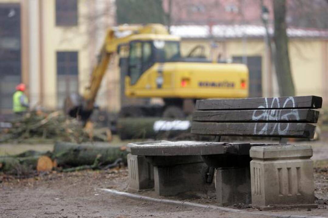 Iškirsti medžiai Sereikiškių parke papiktino vilniečius (papildyta)