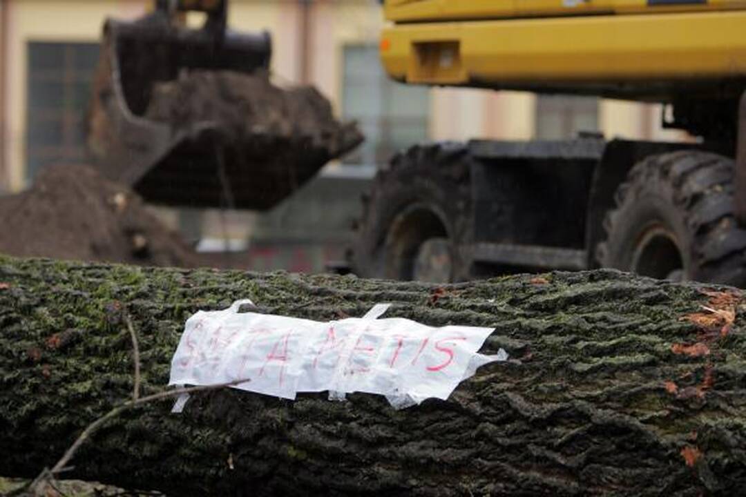 Iškirsti medžiai Sereikiškių parke papiktino vilniečius (papildyta)