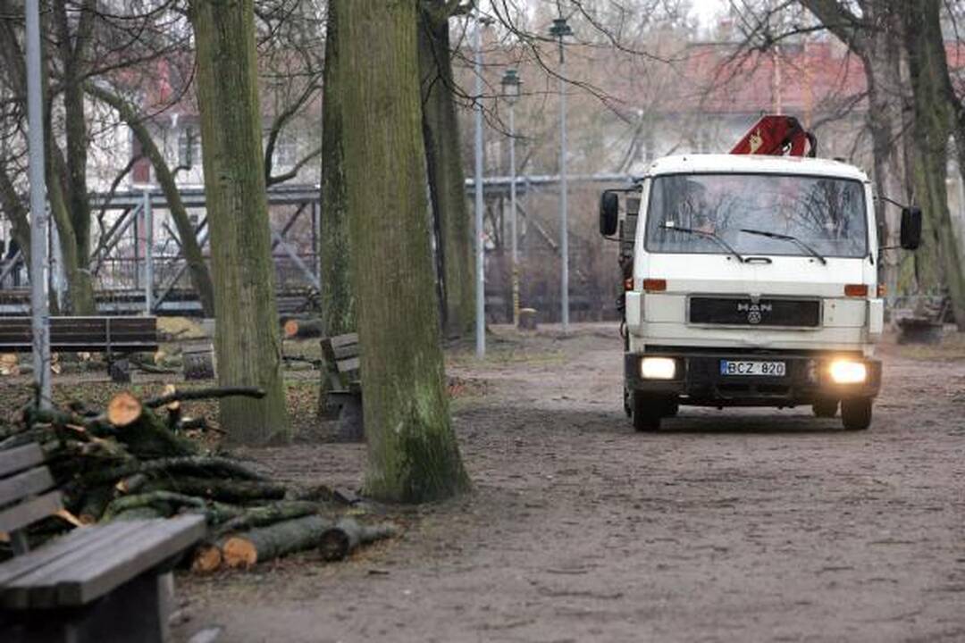 Iškirsti medžiai Sereikiškių parke papiktino vilniečius (papildyta)
