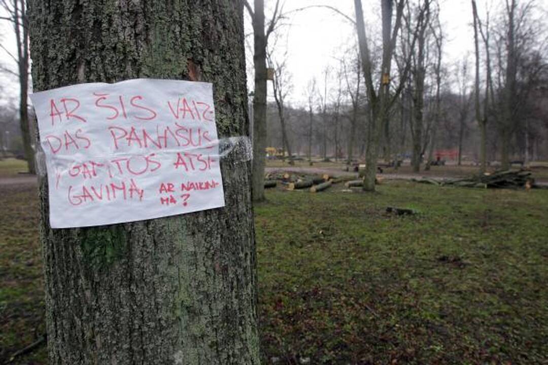 Iškirsti medžiai Sereikiškių parke papiktino vilniečius (papildyta)