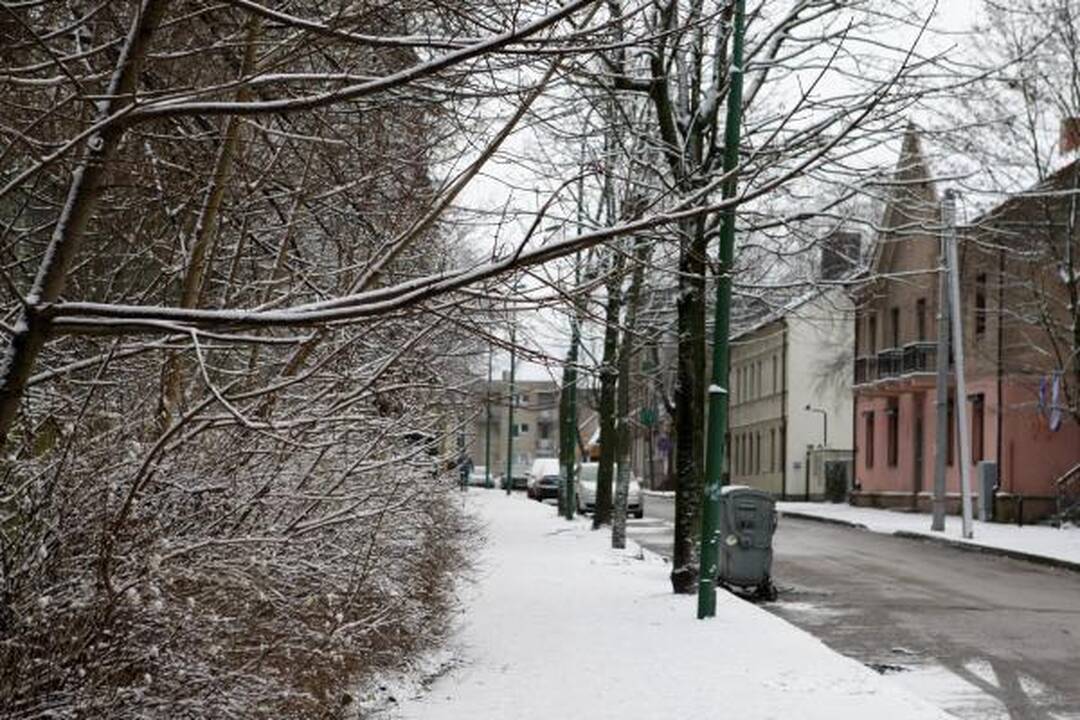 Klaipėdos kelininkai: pirmasis sniegas dzin