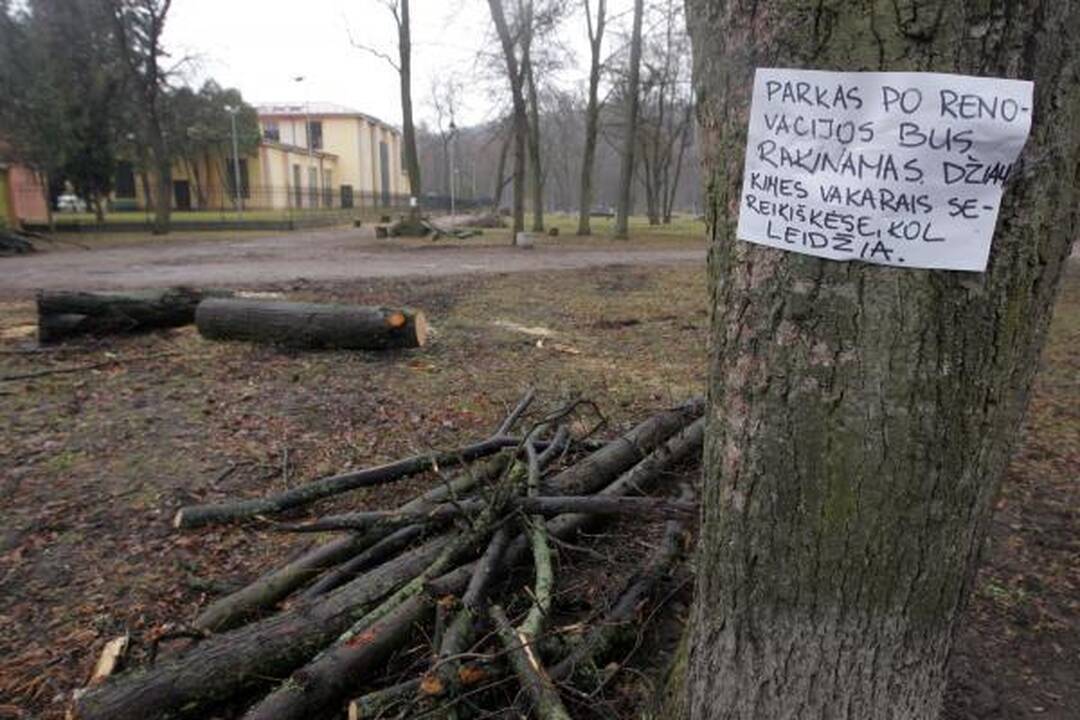 Iškirsti medžiai Sereikiškių parke papiktino vilniečius (papildyta)