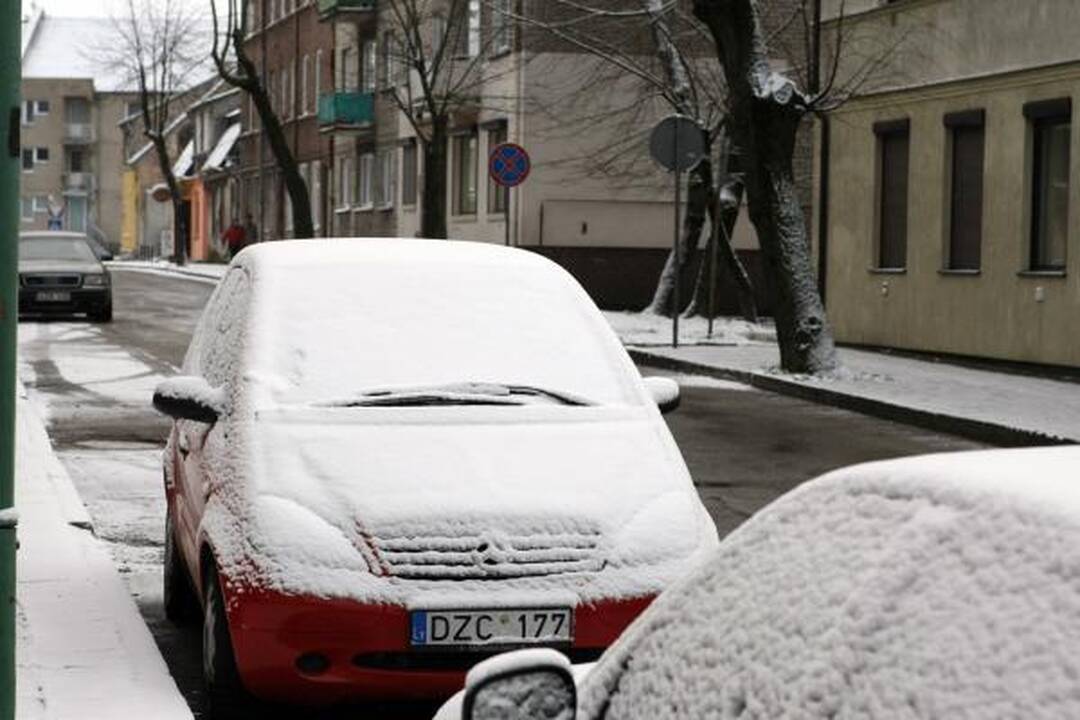 Klaipėdos kelininkai: pirmasis sniegas dzin