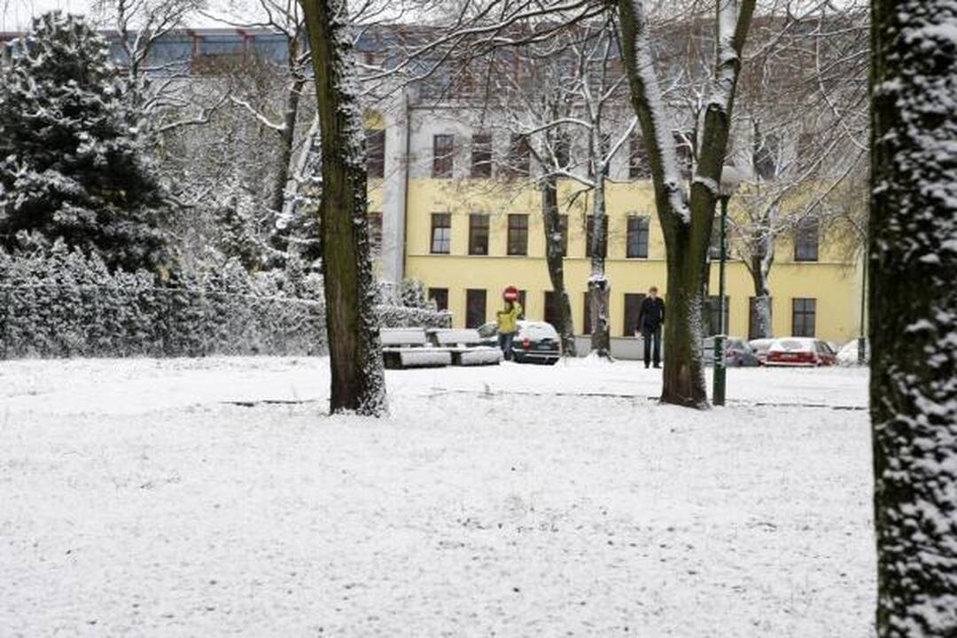 Klaipėdos kelininkai: pirmasis sniegas dzin