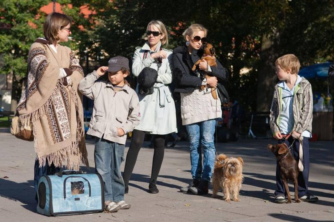 Sereikiškių parke palaiminti naminiai gyvūnai