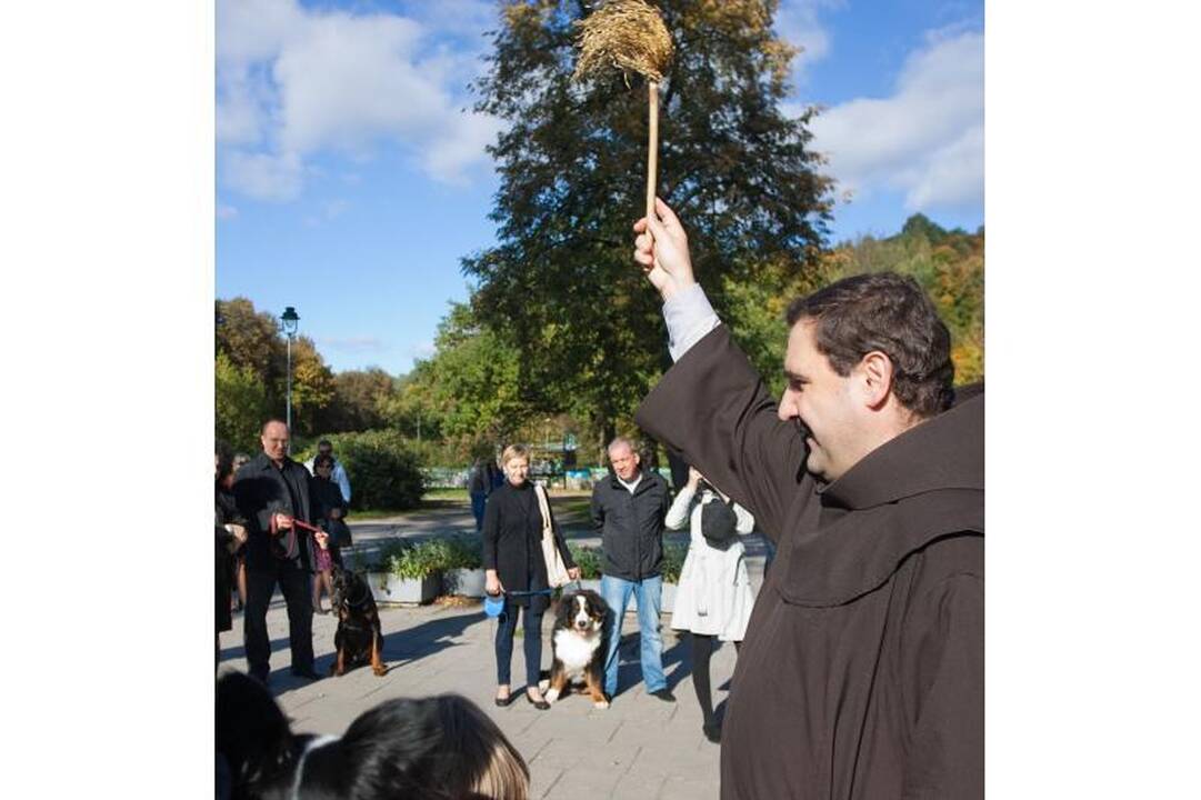 Sereikiškių parke palaiminti naminiai gyvūnai