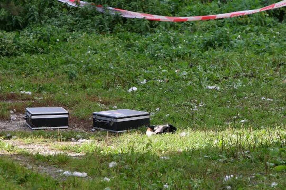 Buvusi D.Kedžio sugyventinė Laima: dabar mano eilė