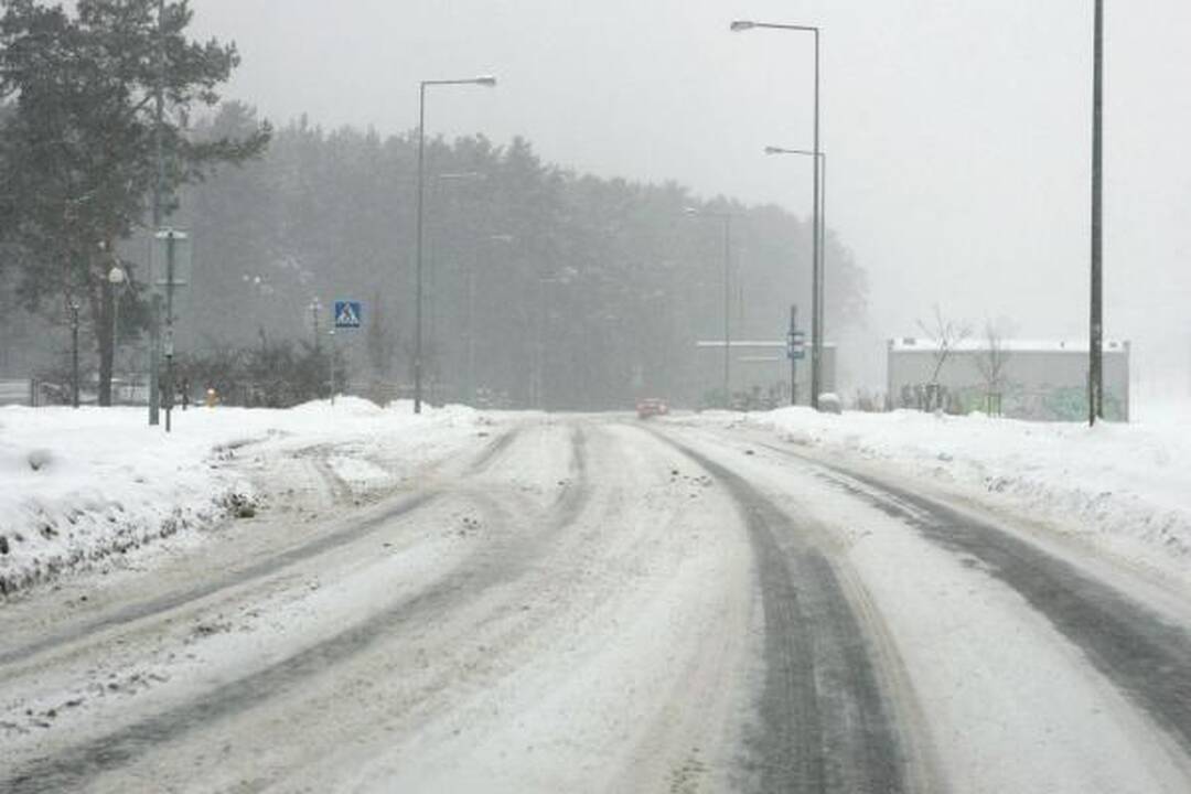 Nevalomi Vilniaus kiemai - gyventojų siaubas