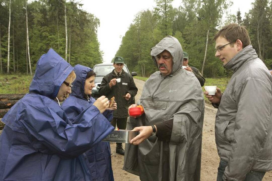 Šalia Kauno sužaliuos „Mikrovisatos“ klientų miškelis