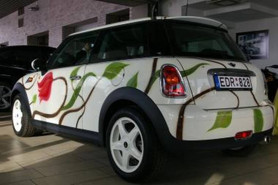 Vardinis "Mini"