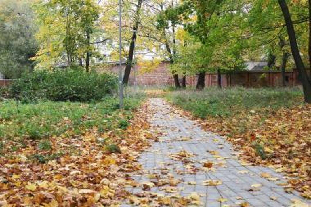 Koncertai – atgimusiame parke