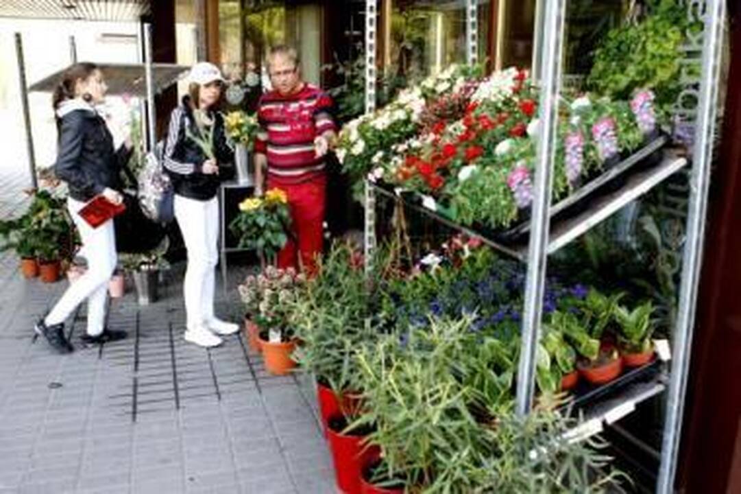 Kukliai: į merdėjantį senamiestį vakar nepavyko įlieti didelio šurmulio – gėlių turgelis buvo mažytis.