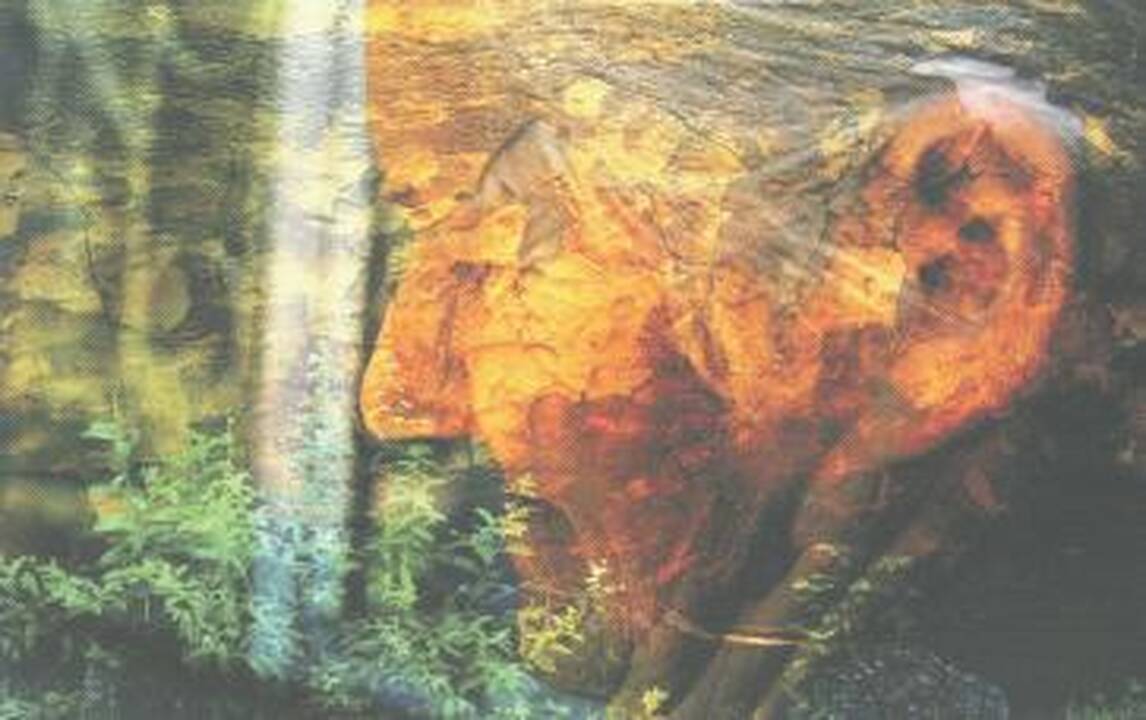 Žmogus – pro fotoobjektyvą