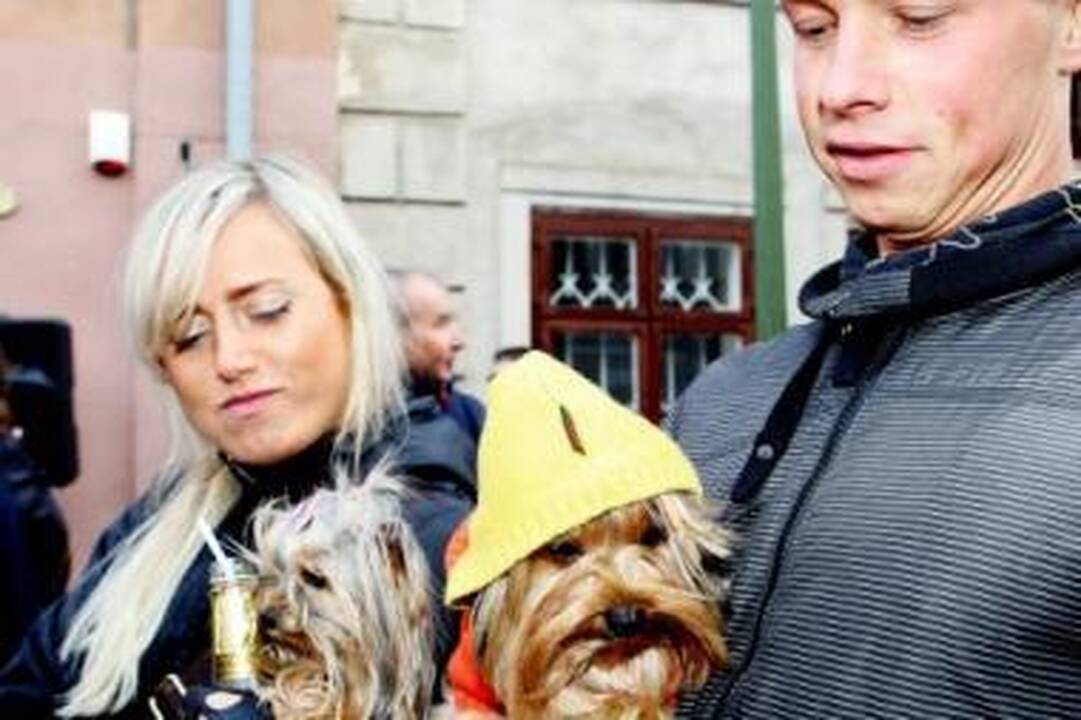 Kovoje dėl teisių laimi mažiausieji