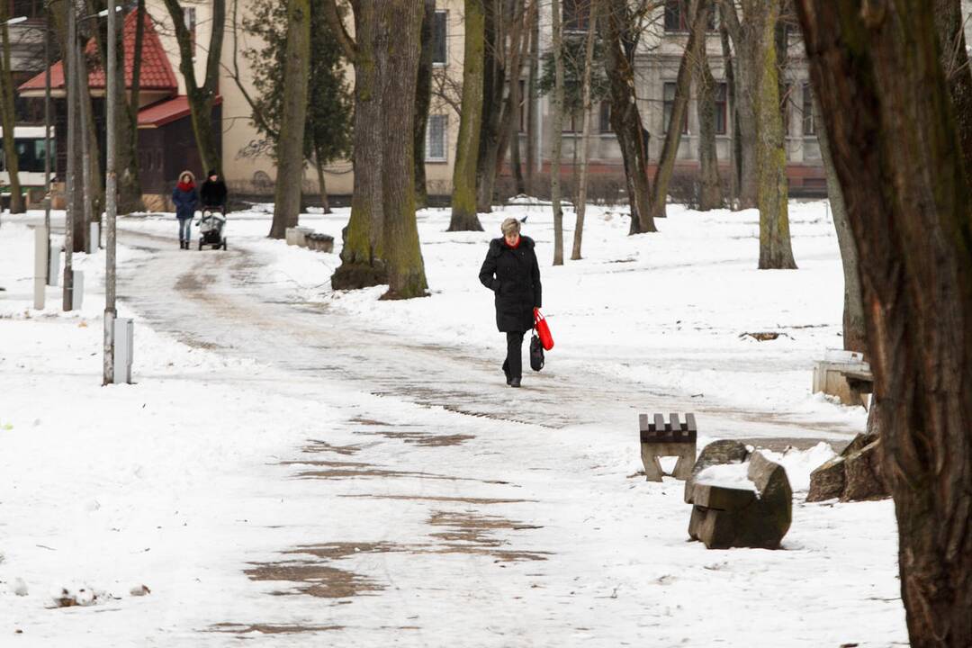 Slidūs Ramybės parko takeliai