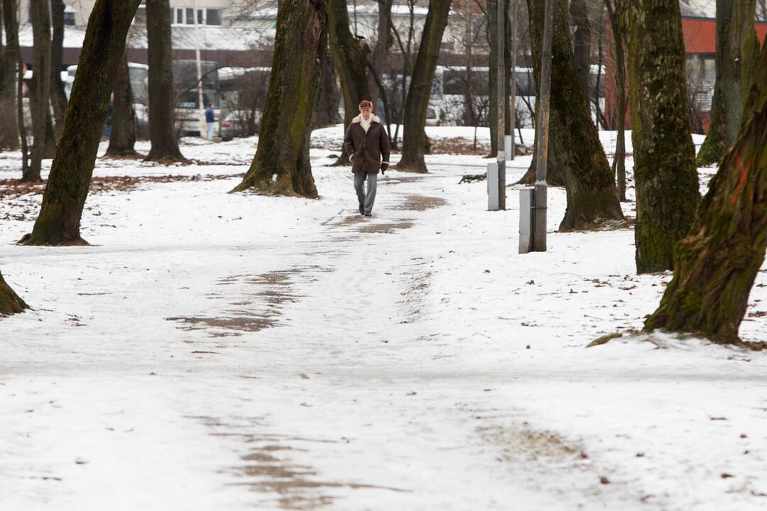 Slidūs Ramybės parko takeliai