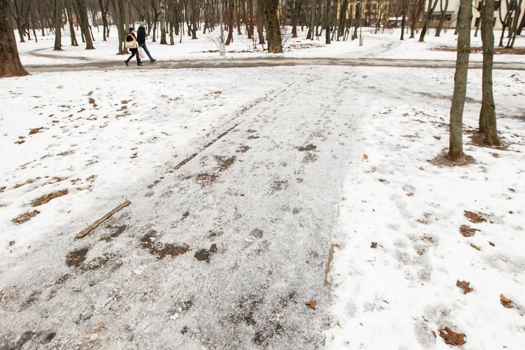 Slidūs Ramybės parko takeliai