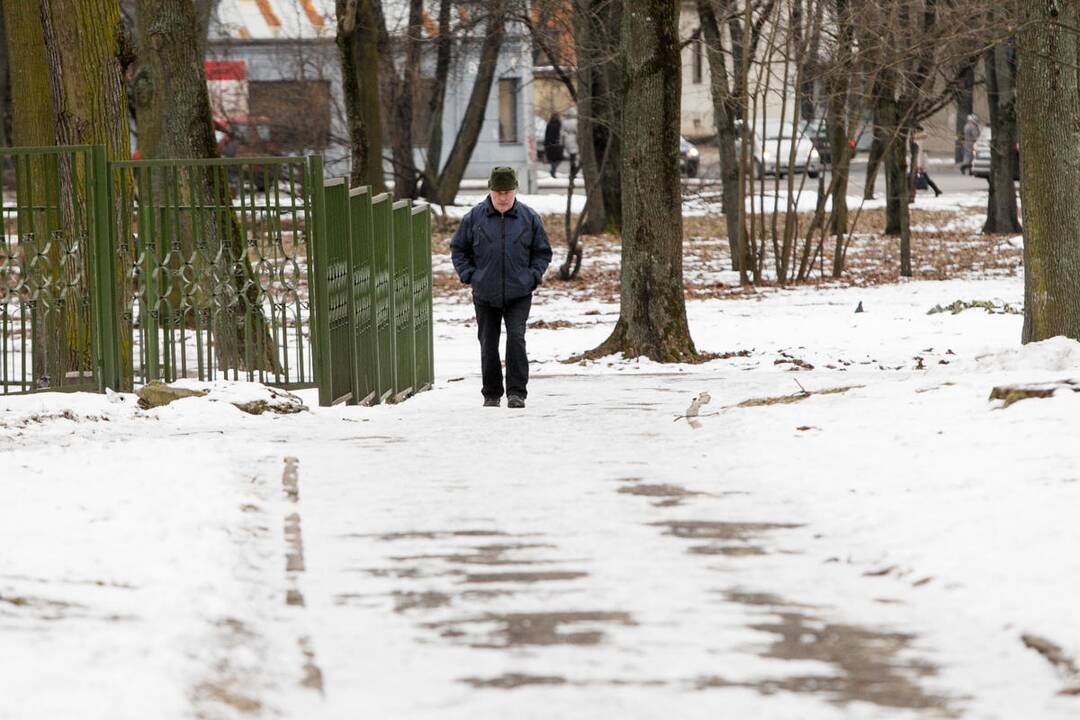 Slidūs Ramybės parko takeliai