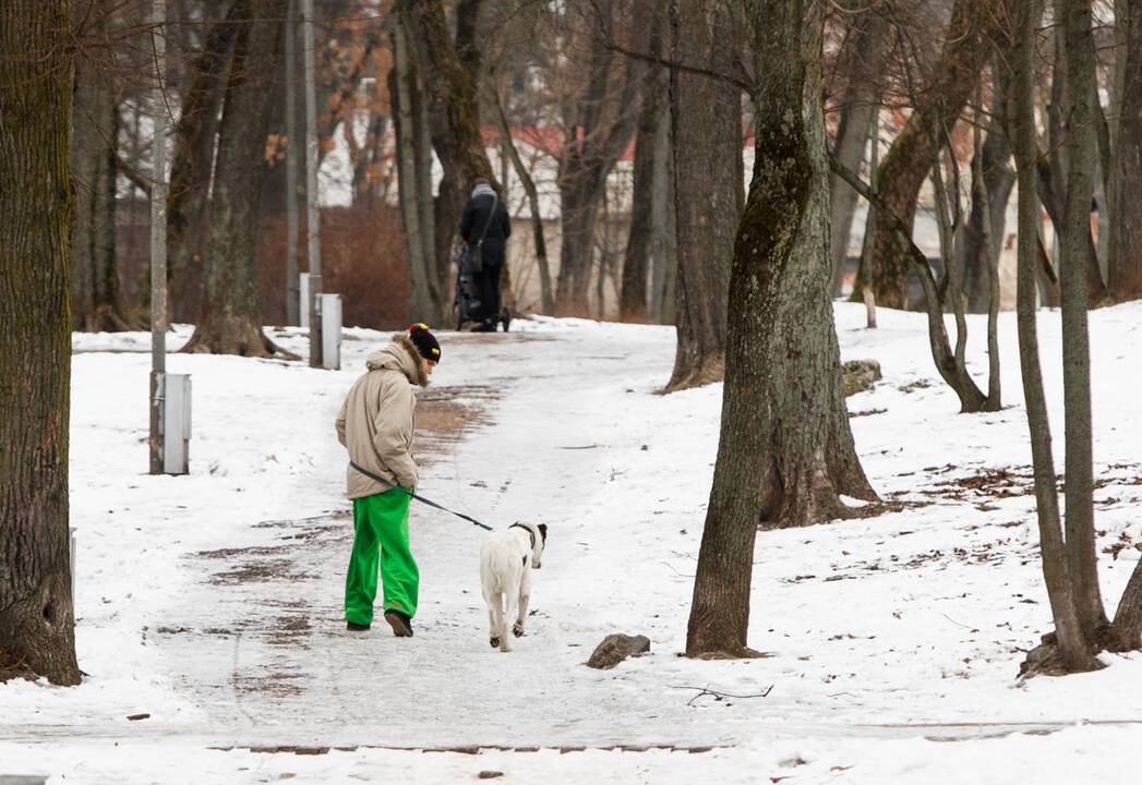 Slidūs Ramybės parko takeliai