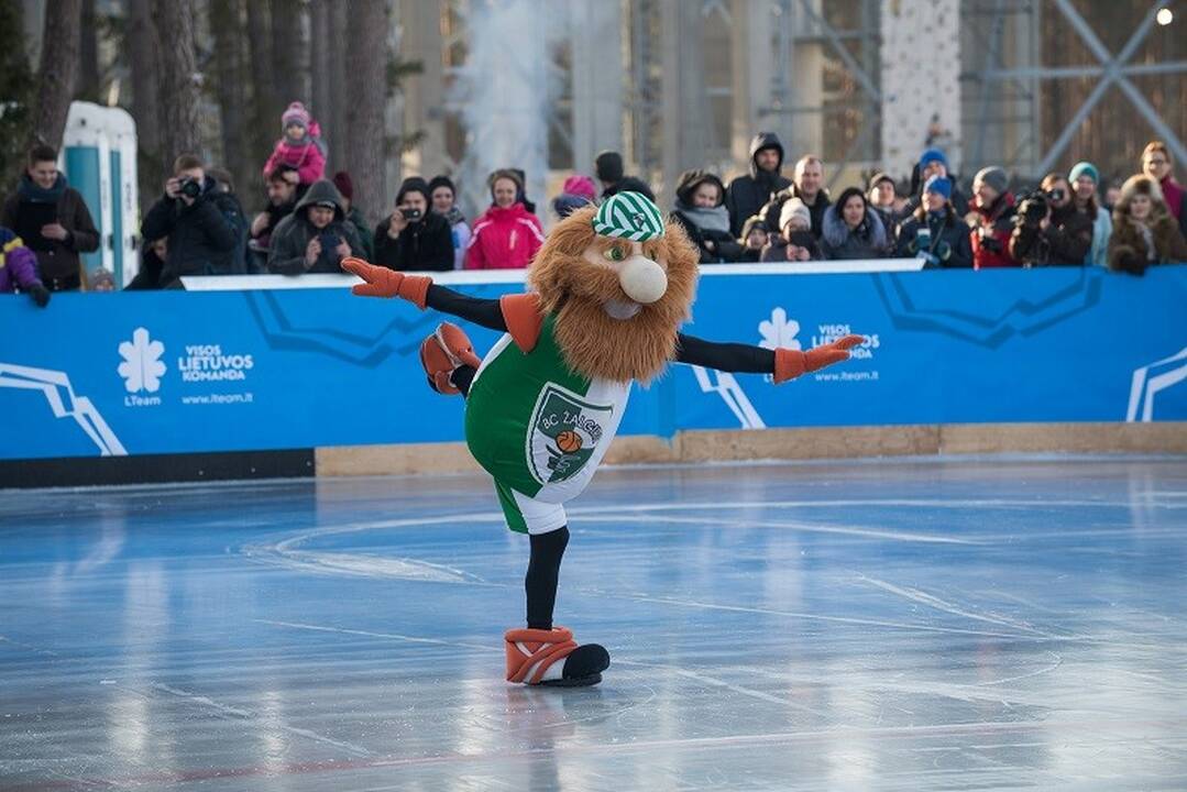 Druskininkų žiemos olimpinis festivalis
