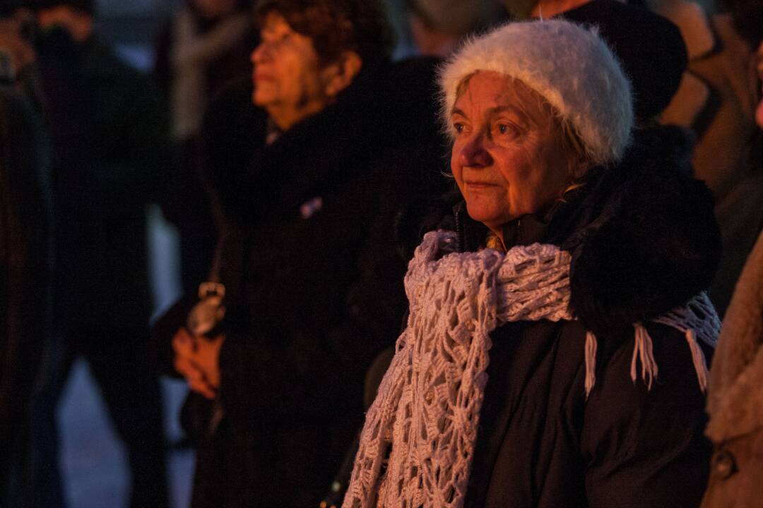 Laisvės laužai Karo muziejaus sodelyje