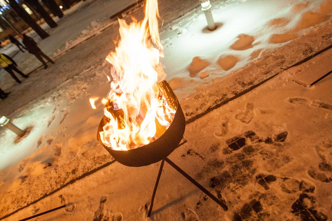 Laisvės laužai Karo muziejaus sodelyje