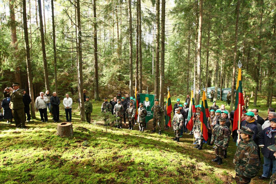 Partizanų žeminė