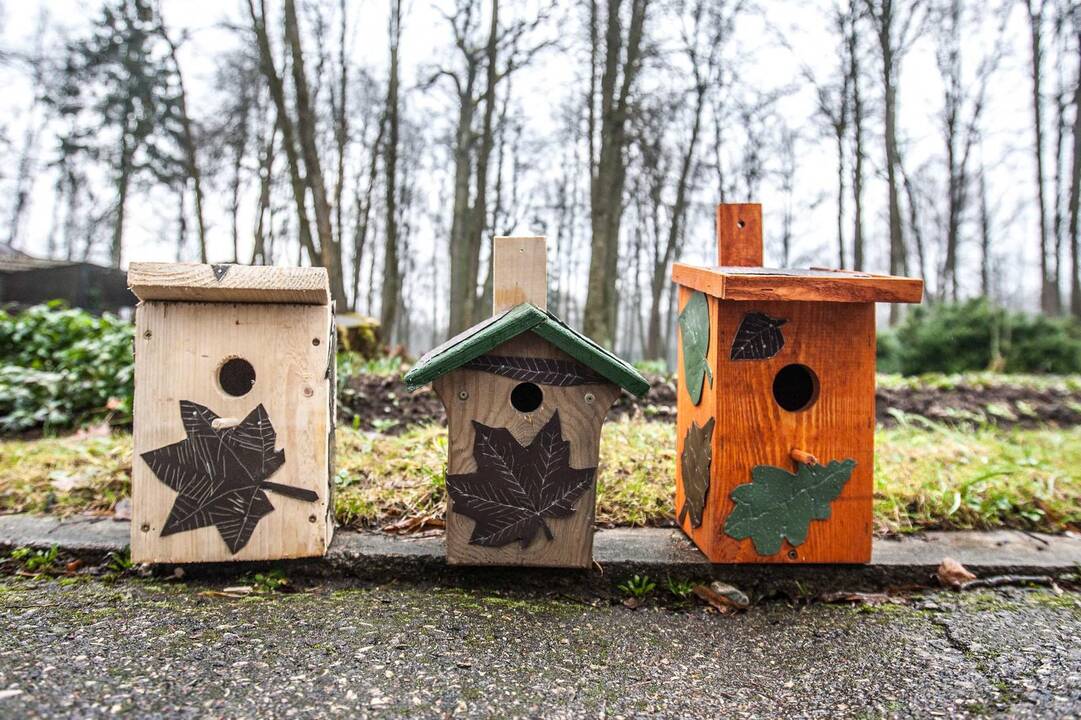 Zoologijos sode kabino inkilus